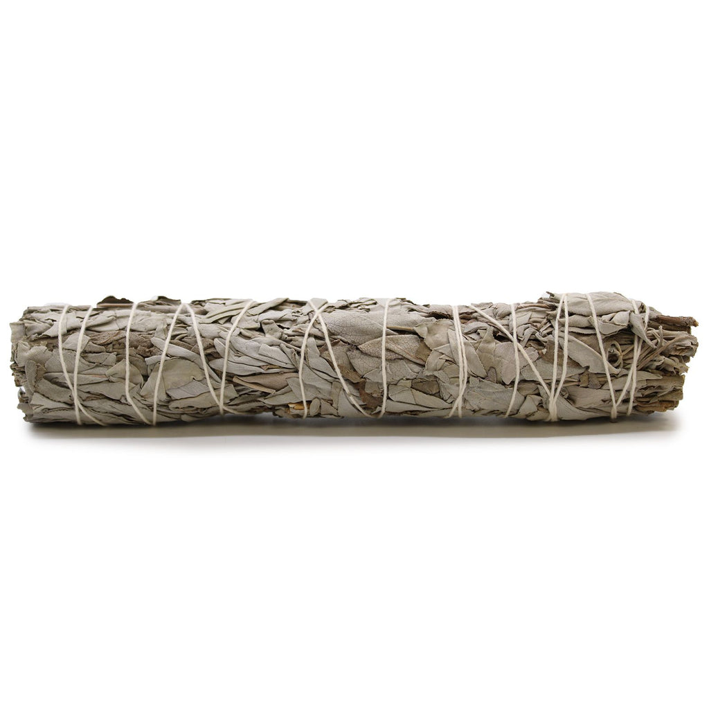 Smudge Salvia Bianca – 22,5 cm