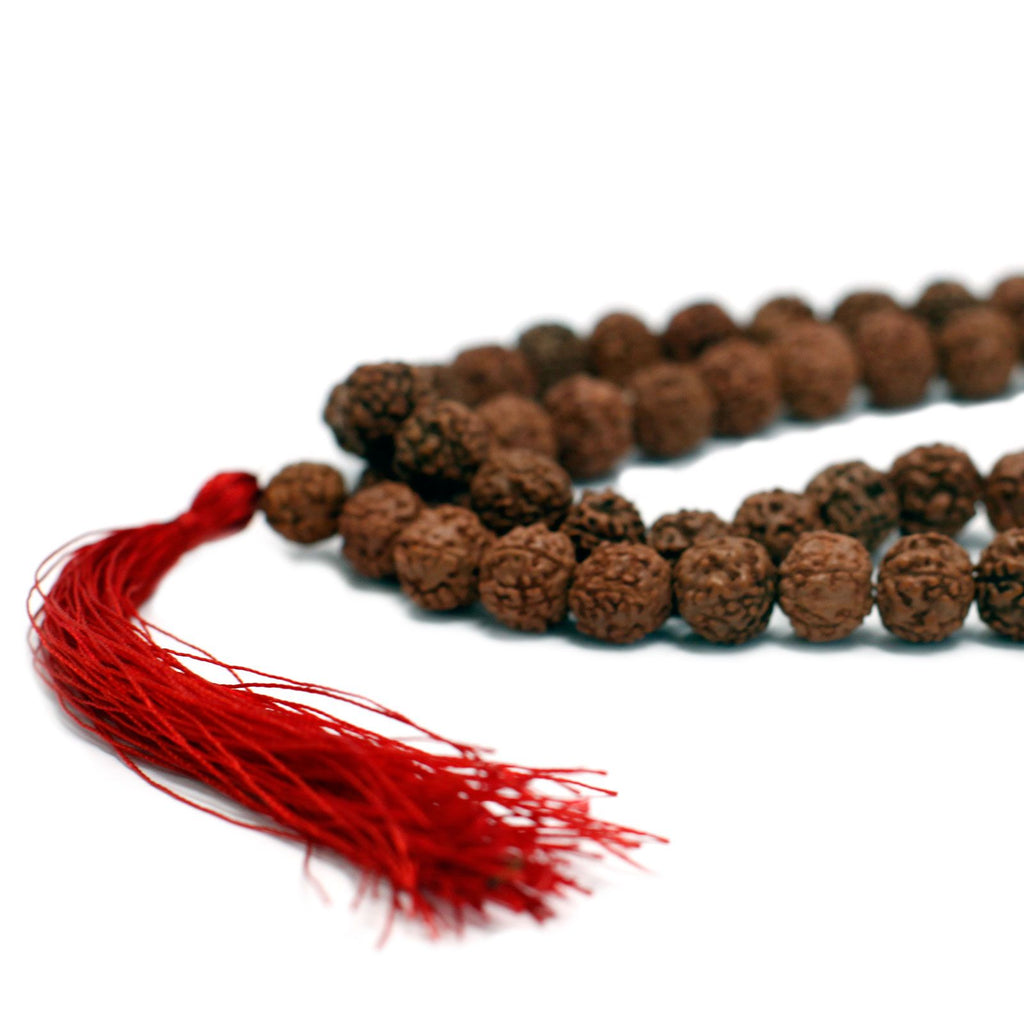 Mala 108 Rudraksha - Marrone
