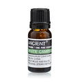 10 ml Olio Essenziale di Canfora Bianca