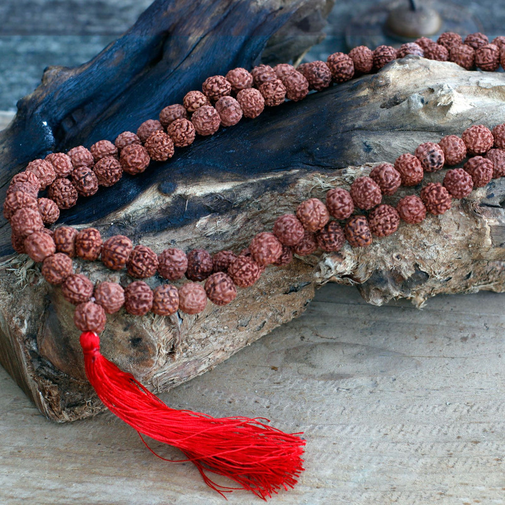 Mala 108 Rudraksha - Marrone