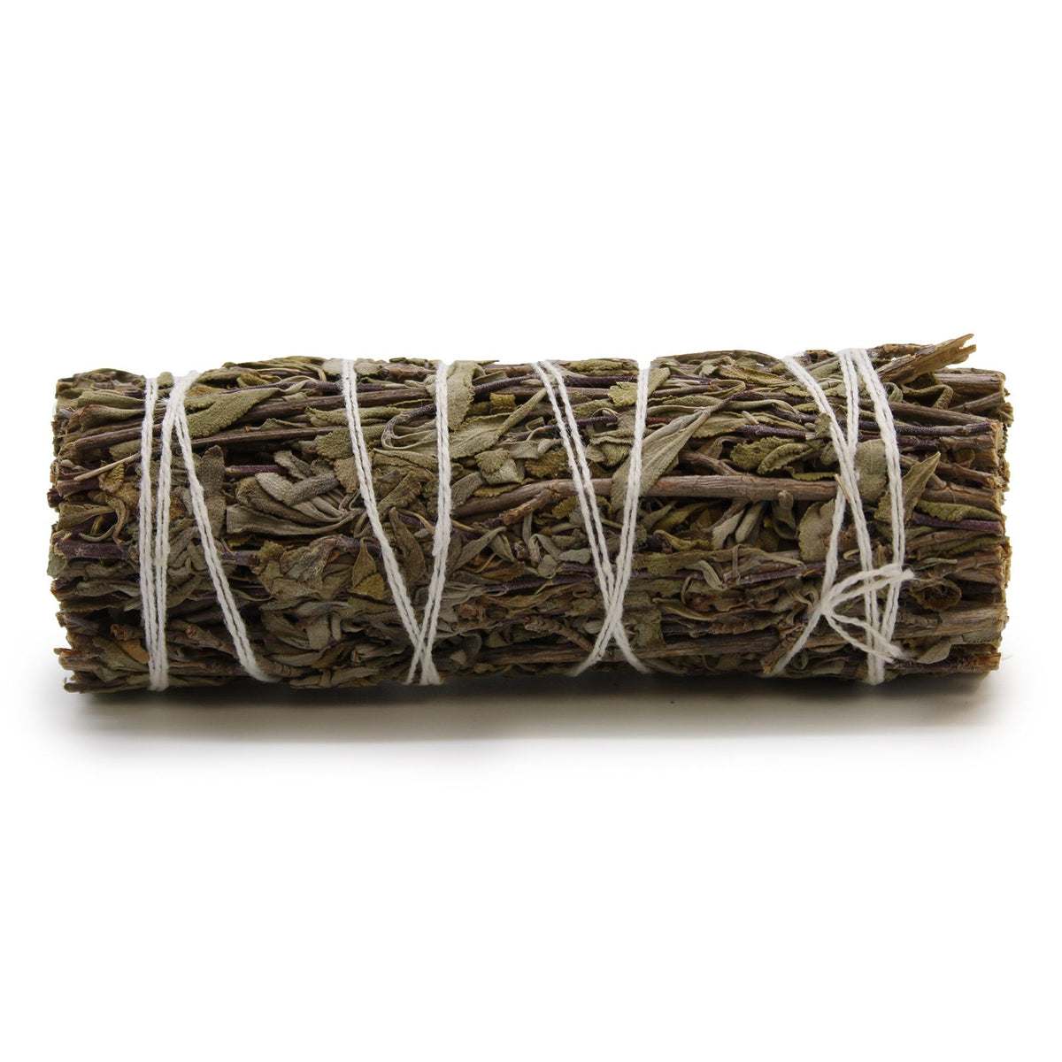 Smudge Salvia Reale – 10 cm