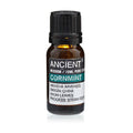 10 ml Olio Essenziale di Menta Selvatica (Cornmint)