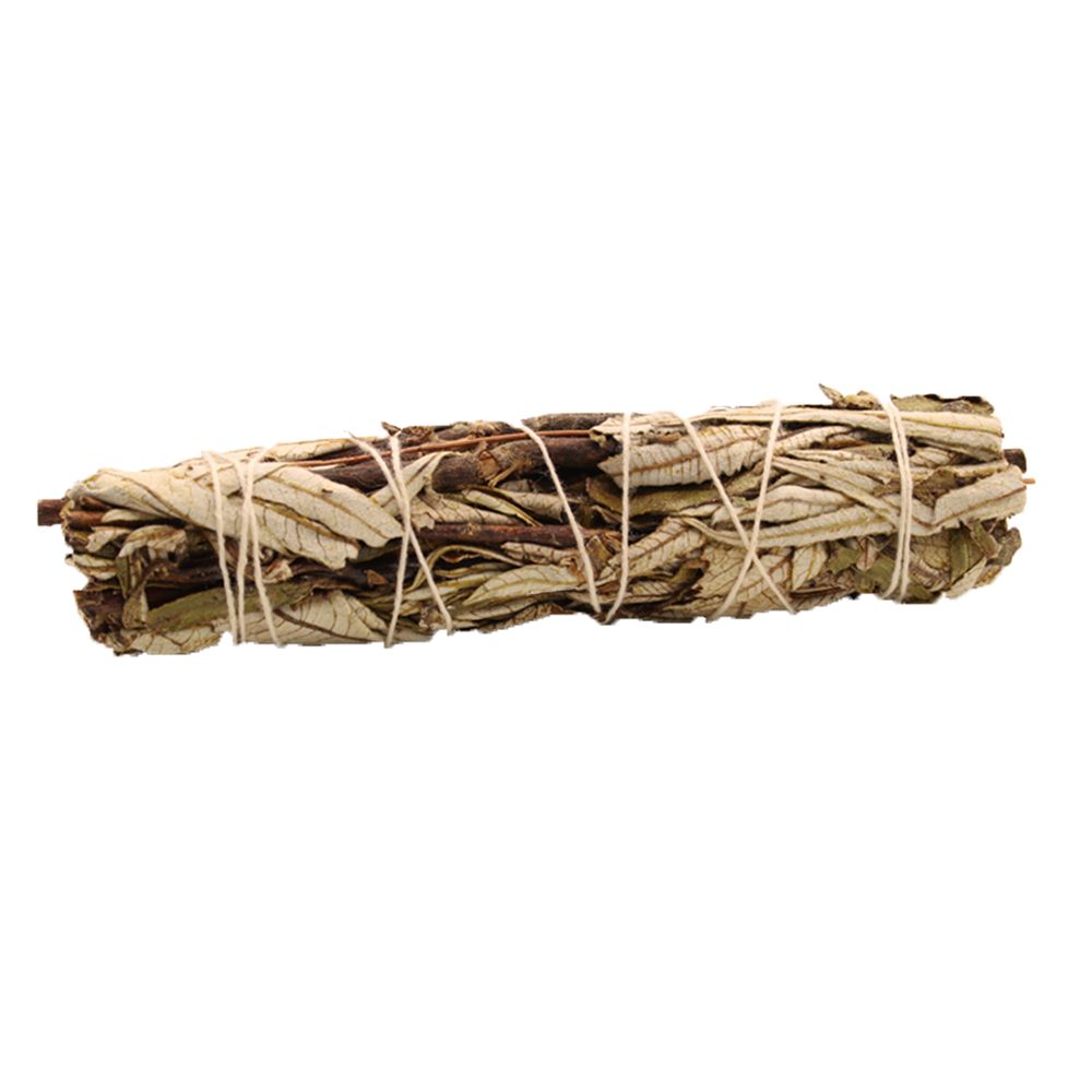 Mazzetto di salvia nera per fumigazione – 15 cm