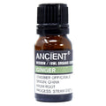Olio essenziale biologico di zenzero – 10 ml