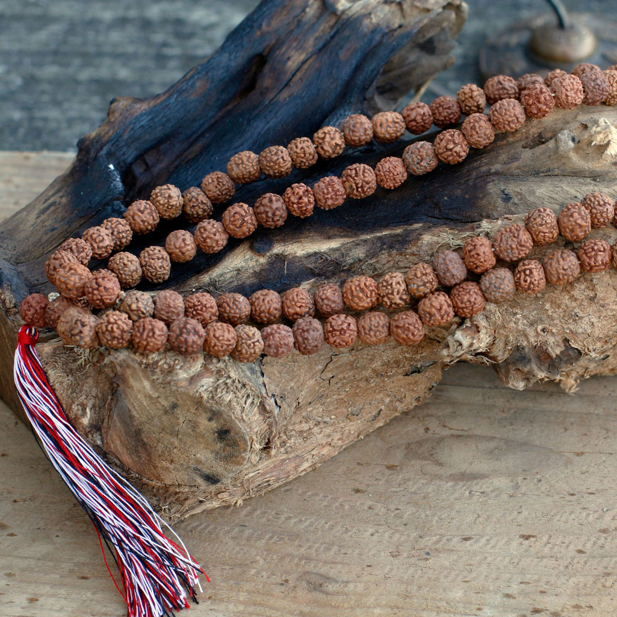 Mala 108 Rudraksha - Naturale