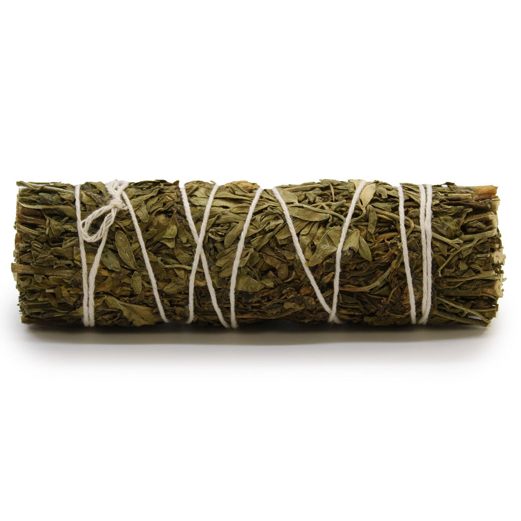 Smudge Salvia Ruda – 10 cm