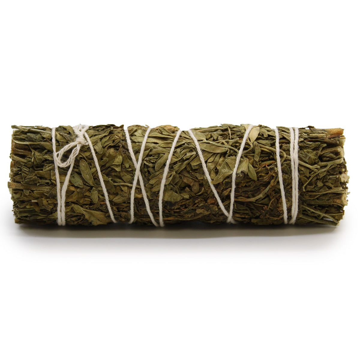 Smudge Salvia Ruda – 10 cm