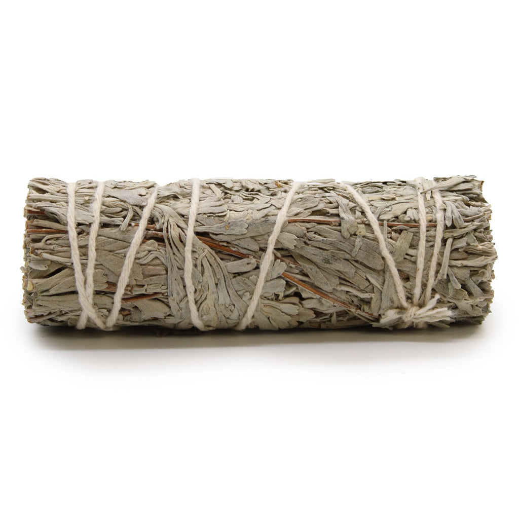 Smudge Salvia Blu – 10 cm