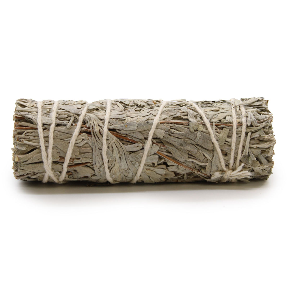 Smudge Salvia Blu – 10 cm