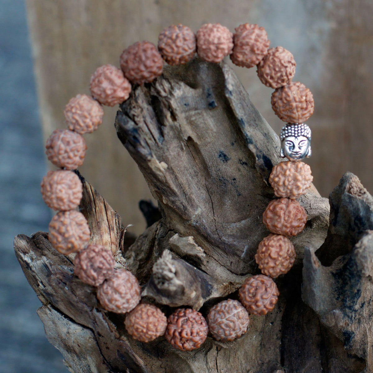 Mala Bracciale Buddha Rudraksha - Marrone